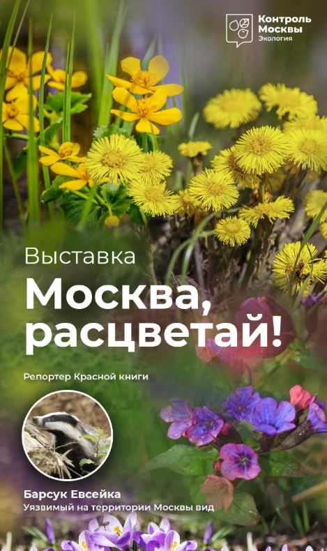 Эколого-просветительский фестиваль «Москва, расцветай!»
