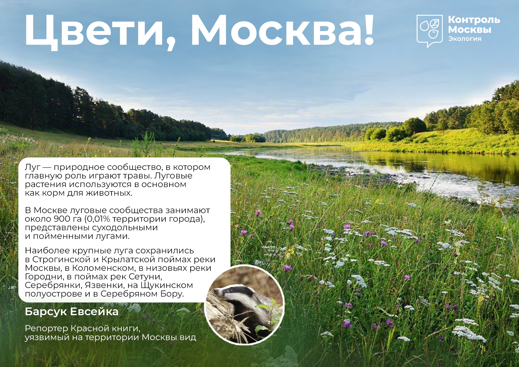 Цвети, Москва! Цвети, Москва!