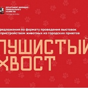 Выставки с пристройством «Пушистый хвост»
