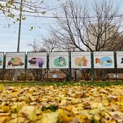 «Союзмультфильм» проведет акцию в поддержку детской премии Росприроднадзора «Экология – дело каждого»