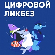 «Цифровая экономика» при поддержке Минпросвещения запускают новый сезон «Цифрового ликбеза»