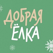 Подарите чудо детям, которые его ждут. Примите участие в благотворительной акции «Добрая ёлка»!