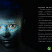 Фотопроект «Не в центре внимания» от благотворительного фонда «Мои друзья»