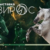 Международная конная выставка «Эквирос»