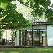Приказ об утверждении Схемы размещения летних сезонных кафе при стационарных предприятиях общественного питания на территории парка    