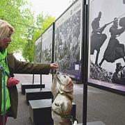 Открытие фотовыставки "Война в объективе военкоров Известий" 