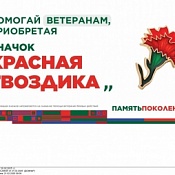 Ежегодная Всероссийская акция «Красная гвоздика»