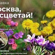 Эколого-просветительский фестиваль «Москва, расцветай!»