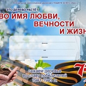 Аллеи победителей. В России стартовала эколого-патриотическая акция «Во имя любви, вечности и жизни»