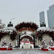 Обратная связь